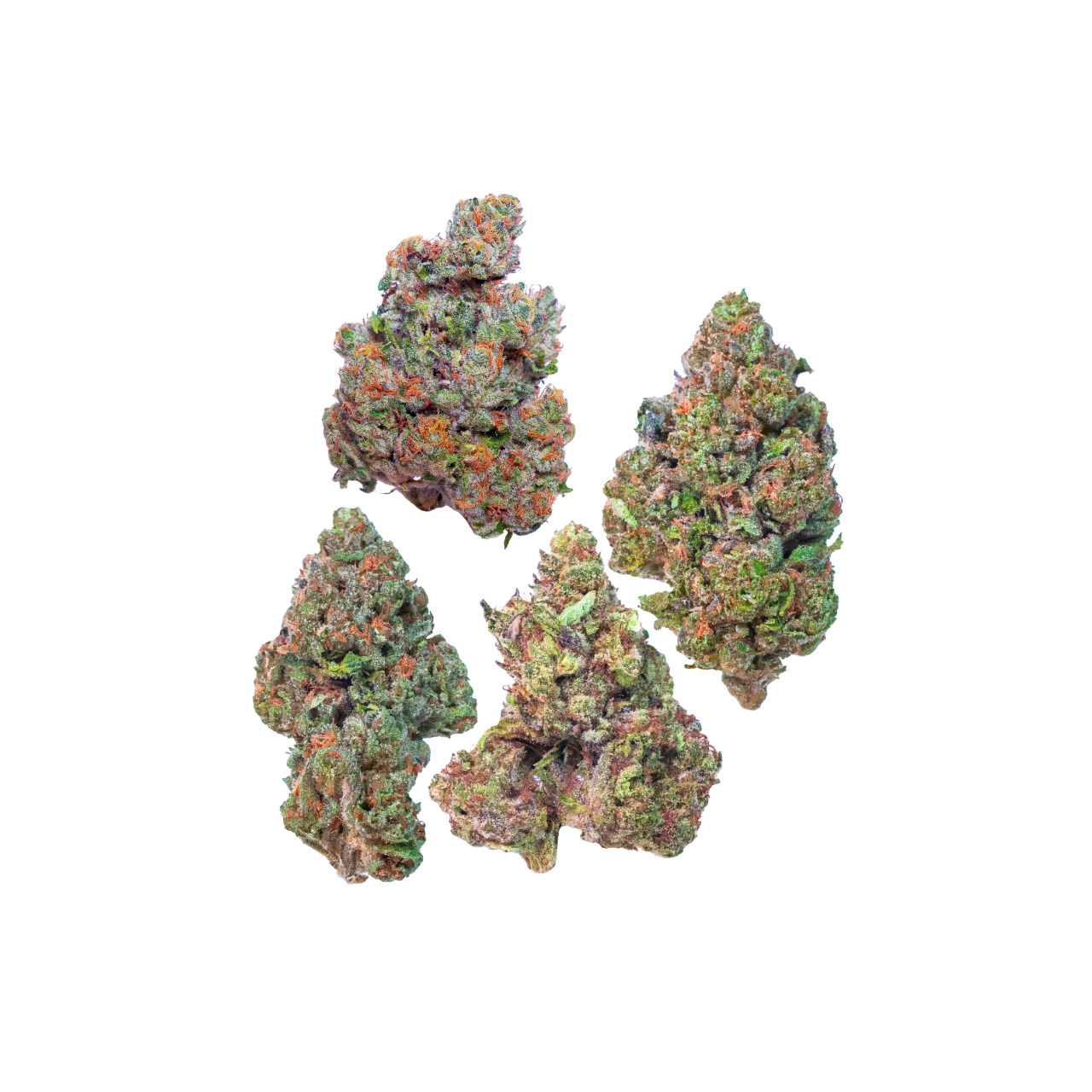 Greenhouse Sampler | Preston Herb Co